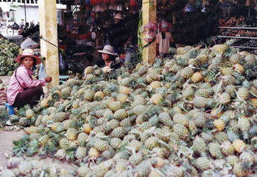 Cambodge-Marché Durian-Battambang