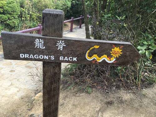 Hong-Kong-dragon's back