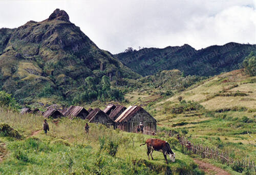 Madagascar-village