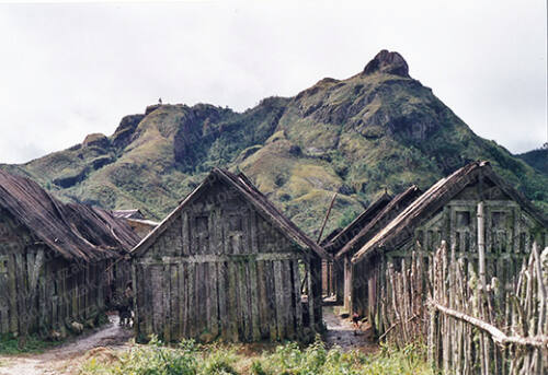 Madagascar-villages-huttes